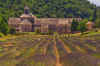 Abbey_de_Senanque_06.JPG (225150 bytes)