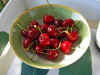 Cherries_02.JPG (128184 bytes)