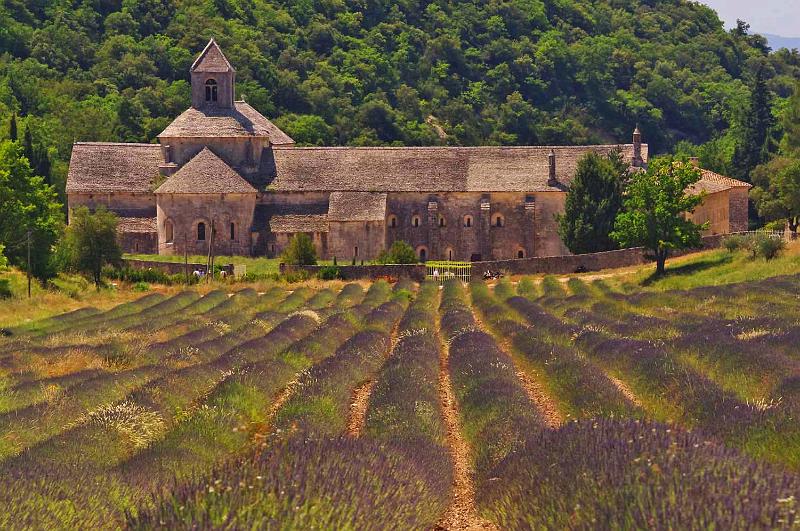 Abbey_de_Senanque_06.JPG