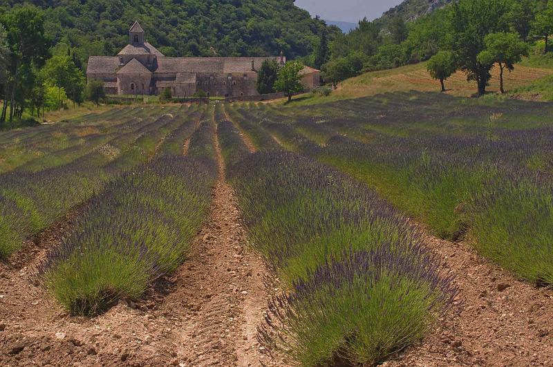 Abbey_de_Senanque_05.JPG