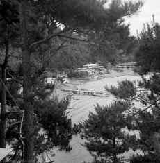 1952-53_Japan_Kyoto_Kawaguchi-Ko_259.jpg (1545206 bytes)