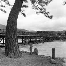 1952-53_Japan_Kyoto_Kawaguchi-Ko_264.jpg (1342964 bytes)