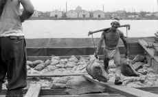 1952-53_Japan_Tokyo_Docks_034.jpg (481062 bytes)