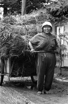 1953_Japan_People_118.jpg (560429 bytes)