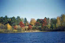 1949-10 Mithcell Lake.jpg (1859451 bytes)