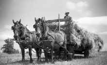 1949_Bert_Richards_Jerry_Barney_010.jpg (5356576 bytes)