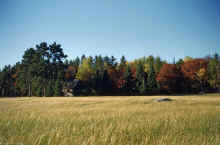 1949 Between Mitchell L and Emily.jpg (1944937 bytes)