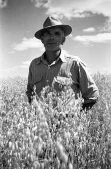 1949_Glenwood_City_Bert_Richards_001.jpg (7621257 bytes)