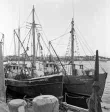 1950-51_Massachusetts_712.jpg (15174528 bytes)