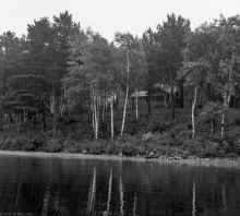 1952-circa_Herman_Cabin_Mitchell_Lake_575.jpg (15689778 bytes)