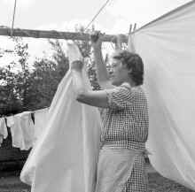 1952_Julie_Antonette_Blilie_459.jpg (14737306 bytes)