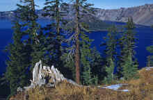 1953-11 Crater Lake OR 316.jpg (3041852 bytes)