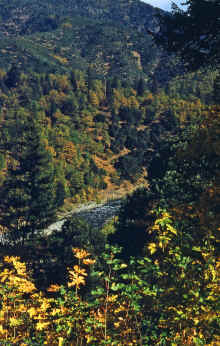 1953-11 Northern CA 305.jpg (2786001 bytes)