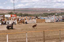 1953-54 Soap Lake Rodeo 369.jpg (1675939 bytes)