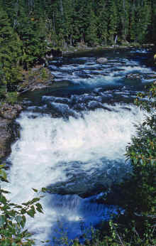 1954 Glacier National Park 387.jpg (2223380 bytes)