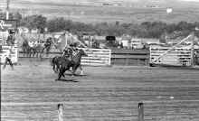 1954_early_Soap_Lake_WA_Rodeo_193.jpg (4678771 bytes)