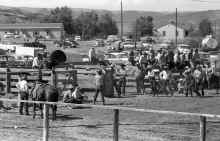 1954_early_Soap_Lake_WA_Rodeo_196.jpg (4640953 bytes)