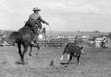 1954_early_Soap_Lake_WA_Rodeo_207.jpg (2694624 bytes)