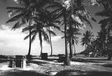 1957-58_Eglin_AFB_Puerto_Rico_018.jpg (8660912 bytes)