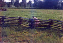 1958-06_JL_Blilie_Family_010.jpg (3081762 bytes)