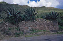 1958-07_Honeymoon_Mexico_052.jpg (1977629 bytes)