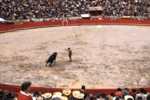 1958-07_Honeymoon_Mexico_090.jpg (1820203 bytes)