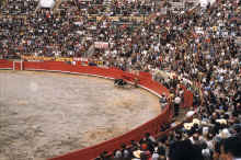 1958-07_Honeymoon_Mexico_095.jpg (2522555 bytes)