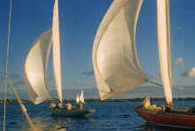 1958 Florida 464  Sailing Race Bermuda-2.jpg (1578398 bytes)