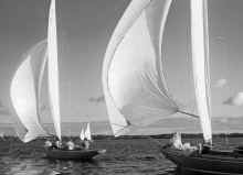 1958 Florida 464  Sailing Race Bermuda.jpg (1954997 bytes)