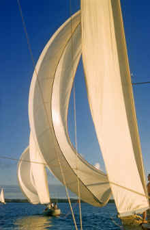 1958 Florida 466  Sailing Race Bermuda-2.jpg (1652140 bytes)