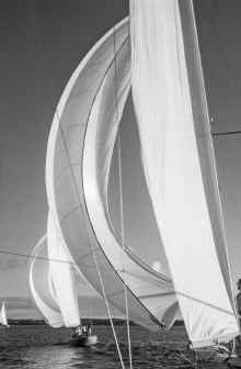 1958 Florida 466  Sailing Race Bermuda.jpg (1420534 bytes)