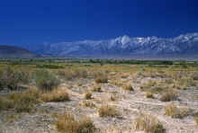 1960-06_JL_Blilie_Family_174_Sierra_Nevada.jpg (2563312 bytes)