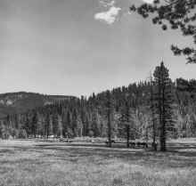 1960-06_Lake_Tahoe_853_60.jpg (1425967 bytes)