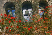 1961-06_JL_Blilie_Family_221_SanJuan_Capistrano.jpg (3445289 bytes)