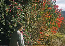 1961-06_JL_Blilie_Family_224_SanJuan_Capistrano.jpg (2476334 bytes)