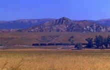 1962-06_JL_Blilie_Family_235_Simi_Valley.jpg (1897477 bytes)