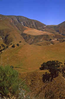 1962-06_JL_Blilie_Family_239_Grimes_Cyn.jpg (2278951 bytes)