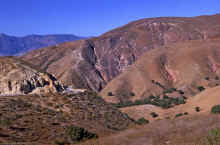 1962-06_JL_Blilie_Family_242_Grimes_Cyn.jpg (2563079 bytes)