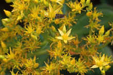 1962-06_JL_Blilie_Family_248.jpg (1863746 bytes)