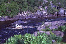 1962-06_JL_Blilie_Family_272.jpg (3558423 bytes)