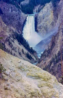 1963-06_JLBlilie_Family_323_Yellowstone_NP.jpg (4926965 bytes)