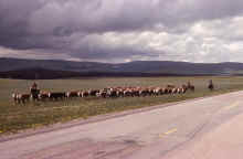 1963-06_JLBlilie_Family_324_Bighorn_Mtns.jpg (1421411 bytes)