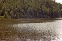 1963-07_JLBlilie_Family_337_Mitchell_Lk.jpg (2544859 bytes)