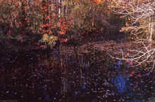 1963-10_JLBlilie_Family_352.jpg (3250476 bytes)