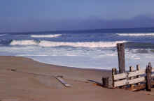 1963-11_JLBlilie_Family_362_Kittyhawk_NC.jpg (1340666 bytes)