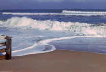 1963-11_JLBlilie_Family_363_Kittyhawk_NC.jpg (1331304 bytes)