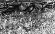 1964-1965_Chelmsford_MA_095.jpg (5445001 bytes)