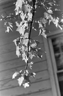 1964-1965_Chelmsford_MA_114.jpg (4152380 bytes)