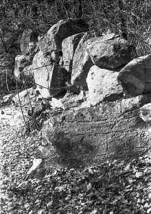 1965-Fall_Robin_Hill_Tower_173.jpg (5138586 bytes)