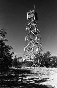 1965-Fall_Robin_Hill_Tower_187.jpg (4940026 bytes)